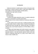 Biznesa plāns 'Biznesa plāns', 28.