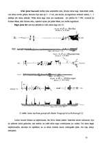 Referāts 'Starptautiskais Baltijas jūras ledus kods', 31.