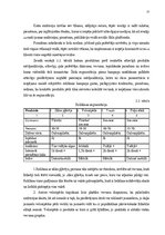 Diplomdarbs 'Mārketinga plāns uzņēmumā “DEPO DIY”, SIA klientu piesaistes nolūkos', 32.