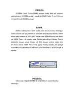 Referāts 'Brīvpiekļuves atmiņa ', 7.