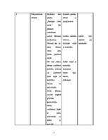 Konspekts 'Integrētā nodarbība pirmsskolā', 8.