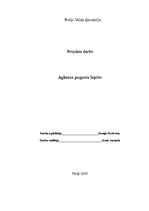 Referāts 'Aglonas pagasts', 1.