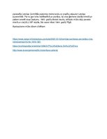 Konspekts 'Pēteris Sniķeris', 3.