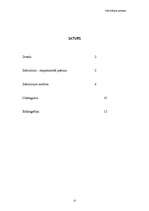 Referāts 'Inkvizīcijas process', 13.