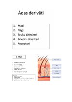 Konspekts 'Āda', 5.