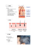 Konspekts 'Āda', 6.