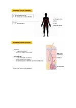 Konspekts 'Āda', 9.