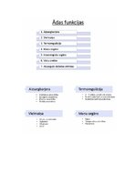 Konspekts 'Āda', 11.