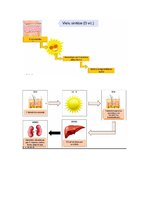 Konspekts 'Āda', 12.