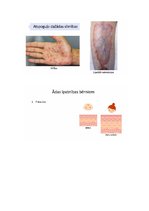 Konspekts 'Āda', 13.