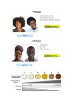 Konspekts 'Āda', 20.