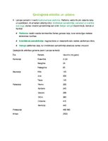 Konspekts 'Ģeoloģiskā attīstība un uzbūve', 1.