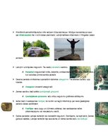 Konspekts 'Ģeoloģiskā attīstība un uzbūve', 2.