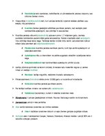 Konspekts 'Ģeoloģiskā attīstība un uzbūve', 3.