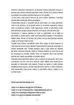 Referāts 'Pašvaldību funkciju tiesiskie pamati un administratīvi teritoriālā reforma', 11.