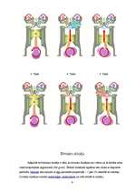 Referāts 'Dzinēji (to darbība, ietekme uz dabu un nākotnes perspektīvas)', 6.
