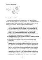 Referāts 'Dzinēji (to darbība, ietekme uz dabu un nākotnes perspektīvas)', 12.