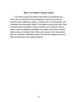 Referāts 'Dzinēji (to darbība, ietekme uz dabu un nākotnes perspektīvas)', 19.