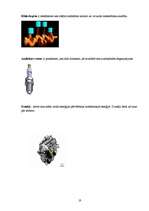 Referāts 'Dzinēji (to darbība, ietekme uz dabu un nākotnes perspektīvas)', 25.