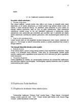 Biznesa plāns 'SIA "MV Orhideja"', 17.