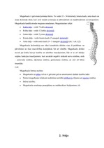 Referāts 'Mugurkaula deformācijas profilakse jauniešiem', 4.