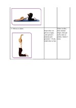 Referāts 'Mugurkaula deformācijas profilakse jauniešiem', 26.