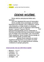 Konspekts 'Vitamīnu, minerālvielu, uzturvielu un ūdens nozīme dabā', 7.