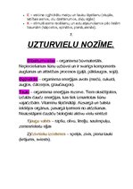 Konspekts 'Vitamīnu, minerālvielu, uzturvielu un ūdens nozīme dabā', 9.