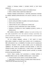 Referāts 'Reklāmas būtība un nozīme uzņēmumā', 6.