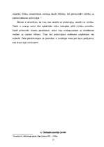 Referāts 'Reklāmas būtība un nozīme uzņēmumā', 15.