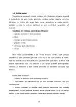 Referāts 'Reklāmas būtība un nozīme uzņēmumā', 16.