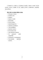 Referāts 'Reklāmas būtība un nozīme uzņēmumā', 17.