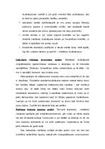 Referāts 'Reklāmas būtība un nozīme uzņēmumā', 25.