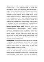 Referāts 'Reklāmas būtība un nozīme uzņēmumā', 26.