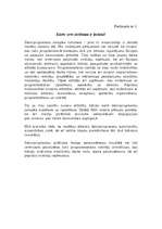 Referāts 'Reklāmas būtība un nozīme uzņēmumā', 41.