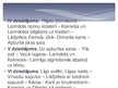 Prezentācija 'Eposs "Lāčplēsis"', 5.