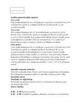 Konspekts 'Tūrisma nometne', 3.