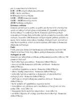 Konspekts 'Tūrisma nometne', 4.