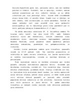 Referāts 'Jaunatnes kultūras tendences 60.-70.gados', 15.