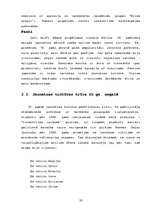 Referāts 'Jaunatnes kultūras tendences 60.-70.gados', 33.