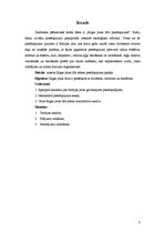 Referāts 'Rīgas Jūras līča piesārņojums', 3.