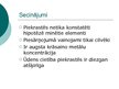 Referāts 'Rīgas Jūras līča piesārņojums', 26.
