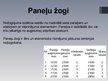 Prezentācija 'Žogu veidi', 9.