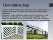Prezentācija 'Žogu veidi', 17.