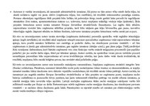 Paraugs 'Vadības zinības', 4.