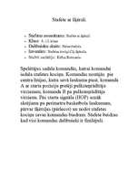 Konspekts 'Stafete ar šķērsli', 3.