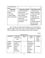Referāts 'Izbraukuma tirdzniecības organizēšanas pilnveide', 21.