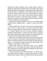 Referāts 'Izbraukuma tirdzniecības organizēšanas pilnveide', 24.