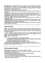 Konspekts 'Sociālā stratifikācija', 3.