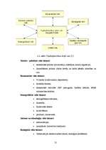 Referāts 'Komercsabiedrības SIA "Dona" izmaksu analīze', 24.